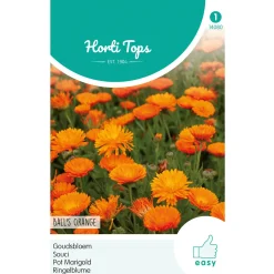 Goudsbloem Ball's Orange