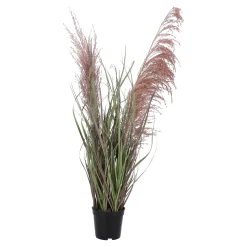 Gras plume 60 cm