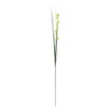 Grasbundel 131 cm groen