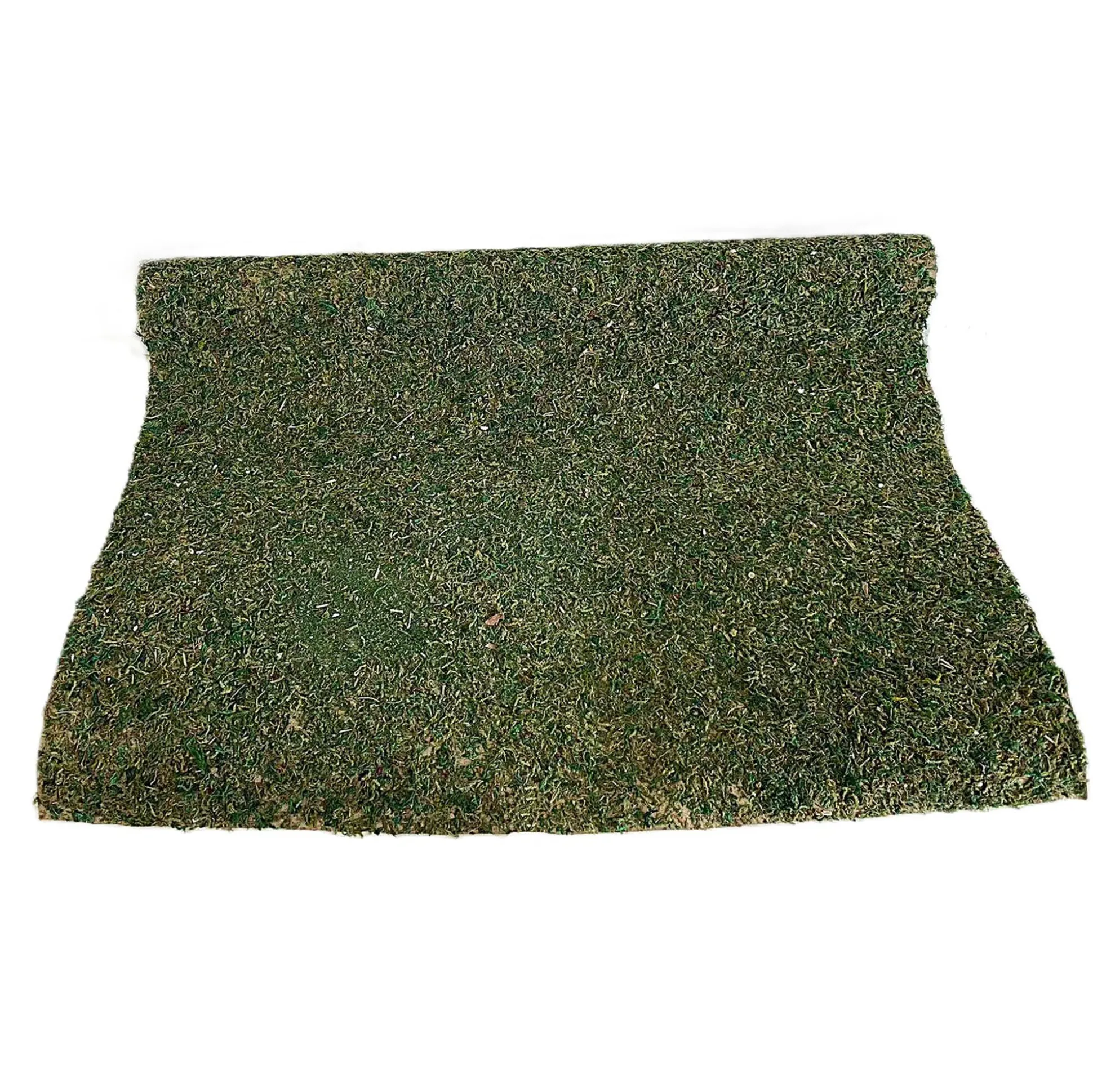 Grasmat mos 50x70cm groen