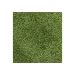 Grastapijt Carrow Road 1x2M Bel Garden