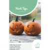 Halloween Pompoen Jack O'Lantern zaad