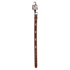 Halsband hond 50cm assorti