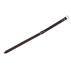 Halsband leder rondo 10mm 27cm Friendly Pet