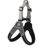 Harnas Hilka easy zwart XS 20mm 30-40cm FP