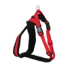 Harnas Palos XS rood 48-55 cm