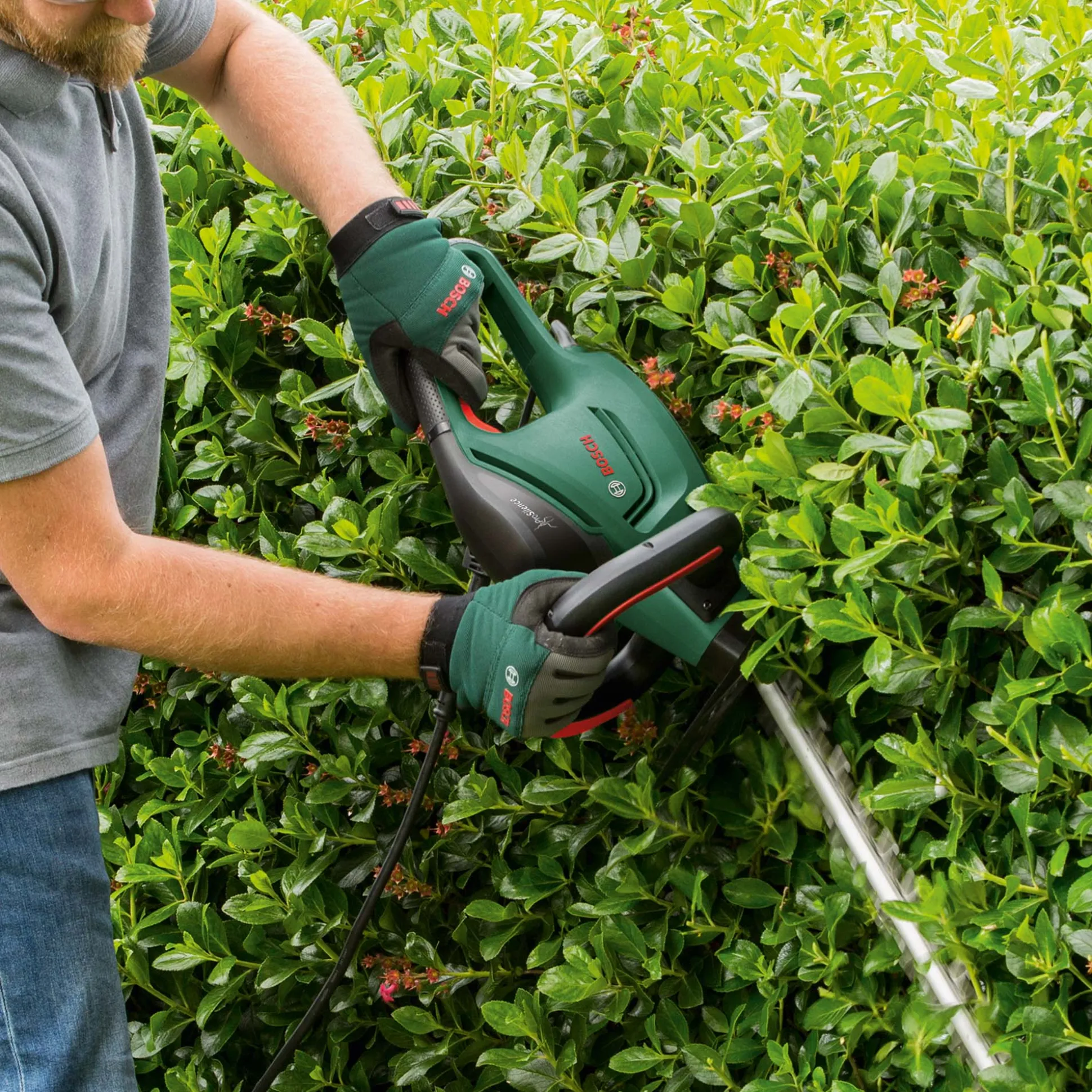 Heggenschaar UnversalHedgeCut 60 V2 bosch