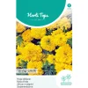 Hoge Afrikaan Yellow Supreme