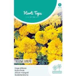 Hoge Afrikaan Yellow Supreme