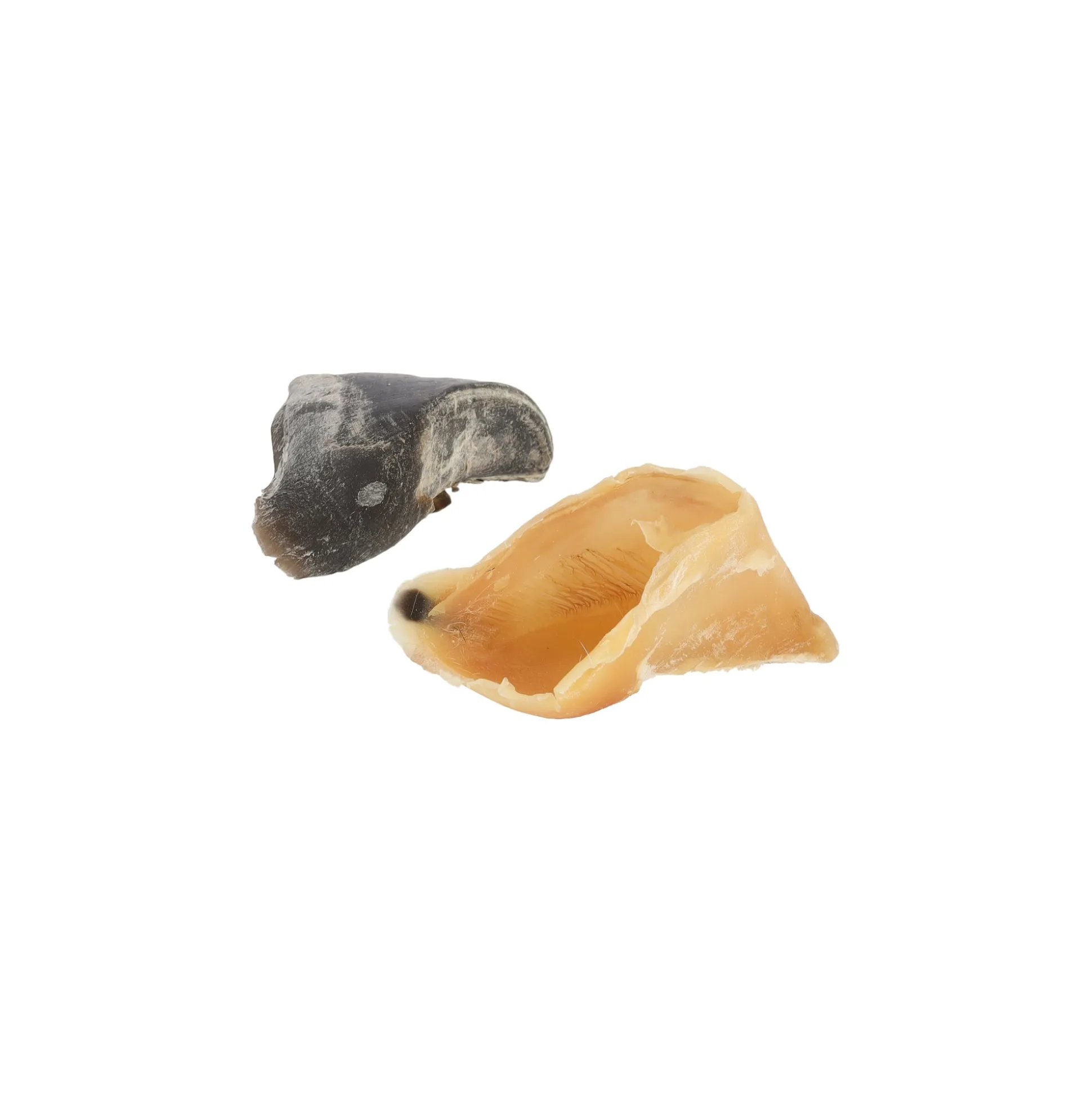 Hondensnack kalfshoef leeg 5st