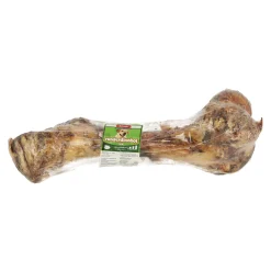Hondensnack rund dinobot large