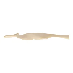 Hondensnack runderkophuid wit 70cm