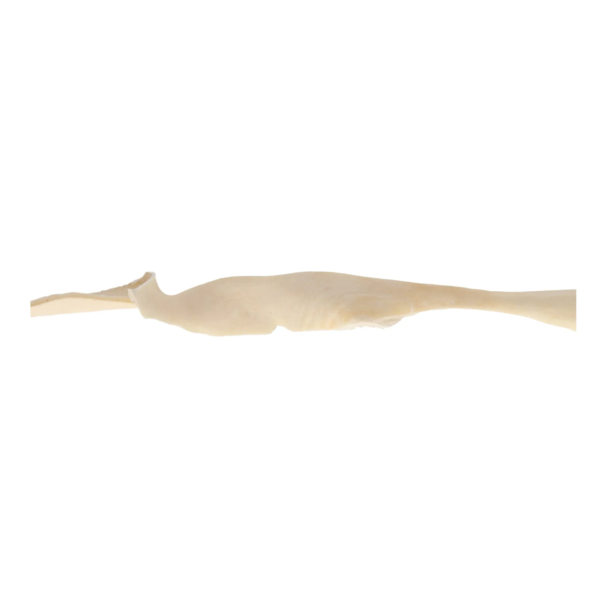 Hondensnack runderkophuid wit 70cm