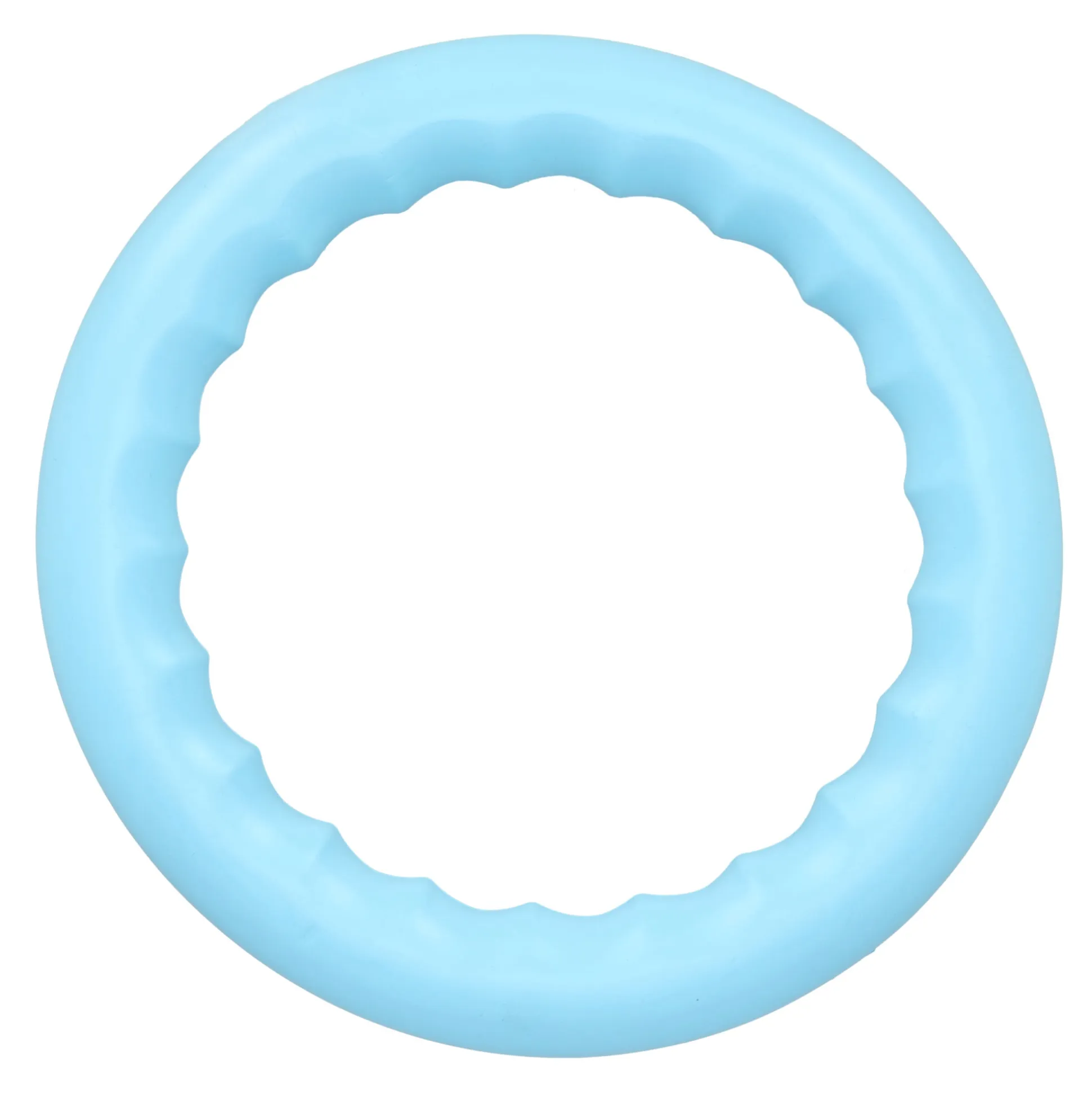 Hondenspeelgoed apporteerring drijf 28cm Friendly Pet