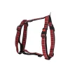 Hondentuig Tartan 25mm x 90-120cm
