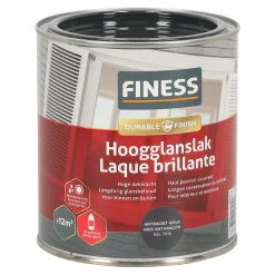 Hoogglans antraciet 14203 750ml Finess