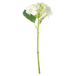 Hortensia 31 cm wit