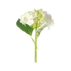 Hortensia 31 cm wit