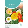 IJslandse Papaver mix
