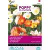 IJslandse Papaver mix
