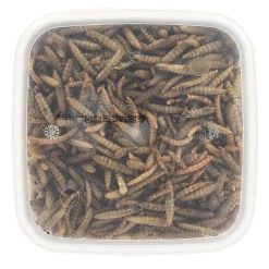 Insectenmix 1.2L Smulti