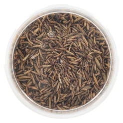 Insectenmix 3L Smulti