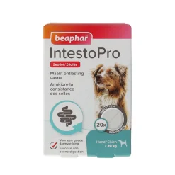 Intestopro hond vanaf 20kg