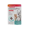 Intestopro kat hond tot 20kg