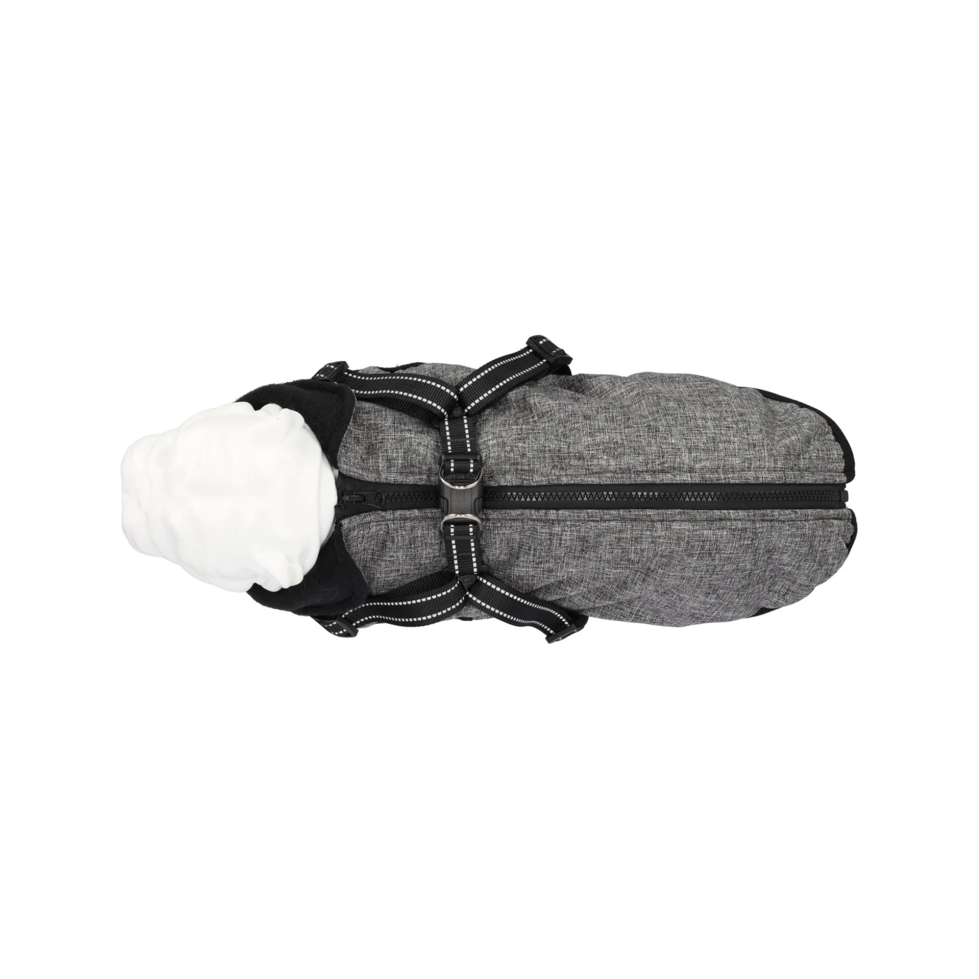 Jas hond Bodhi antra 25cm