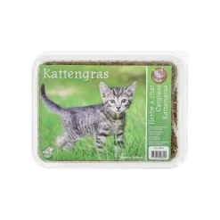 Kattengras