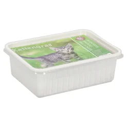Kattengras