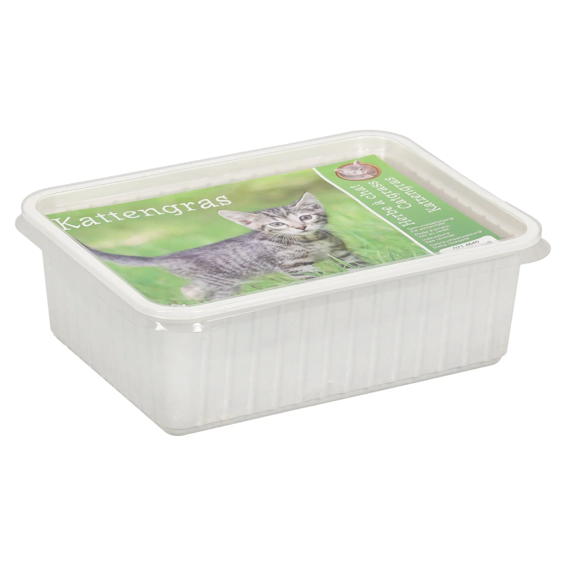 Kattengras