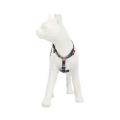 Kattentuig set jazz stripe eco FP