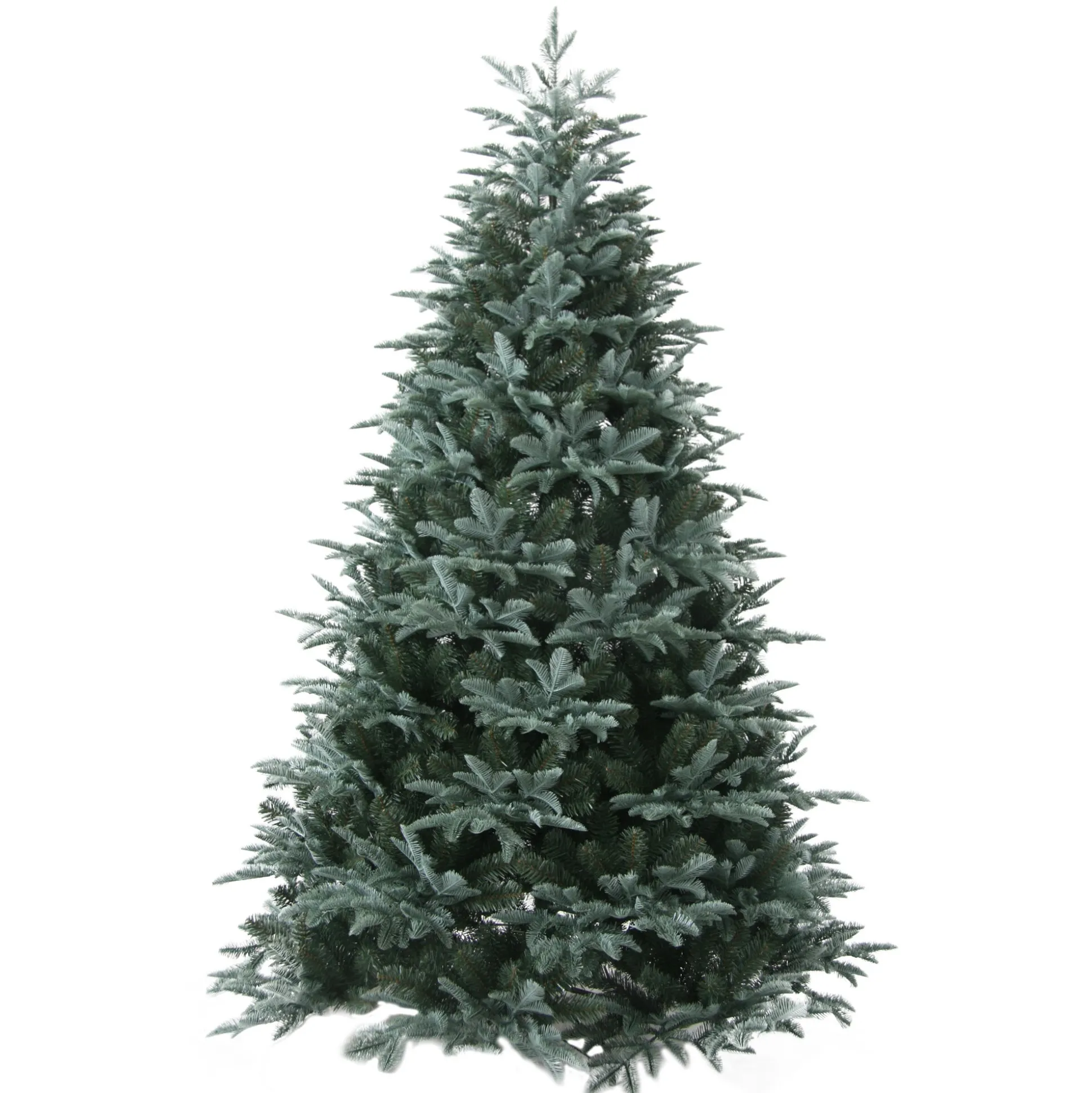 Kerstboom blue pine 240cm