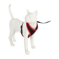 Kittentuig zwart/rood 10mmx110cm