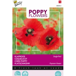 Klaproos Rhoeas rood