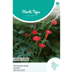 Klimmende winde Cardinal Climber