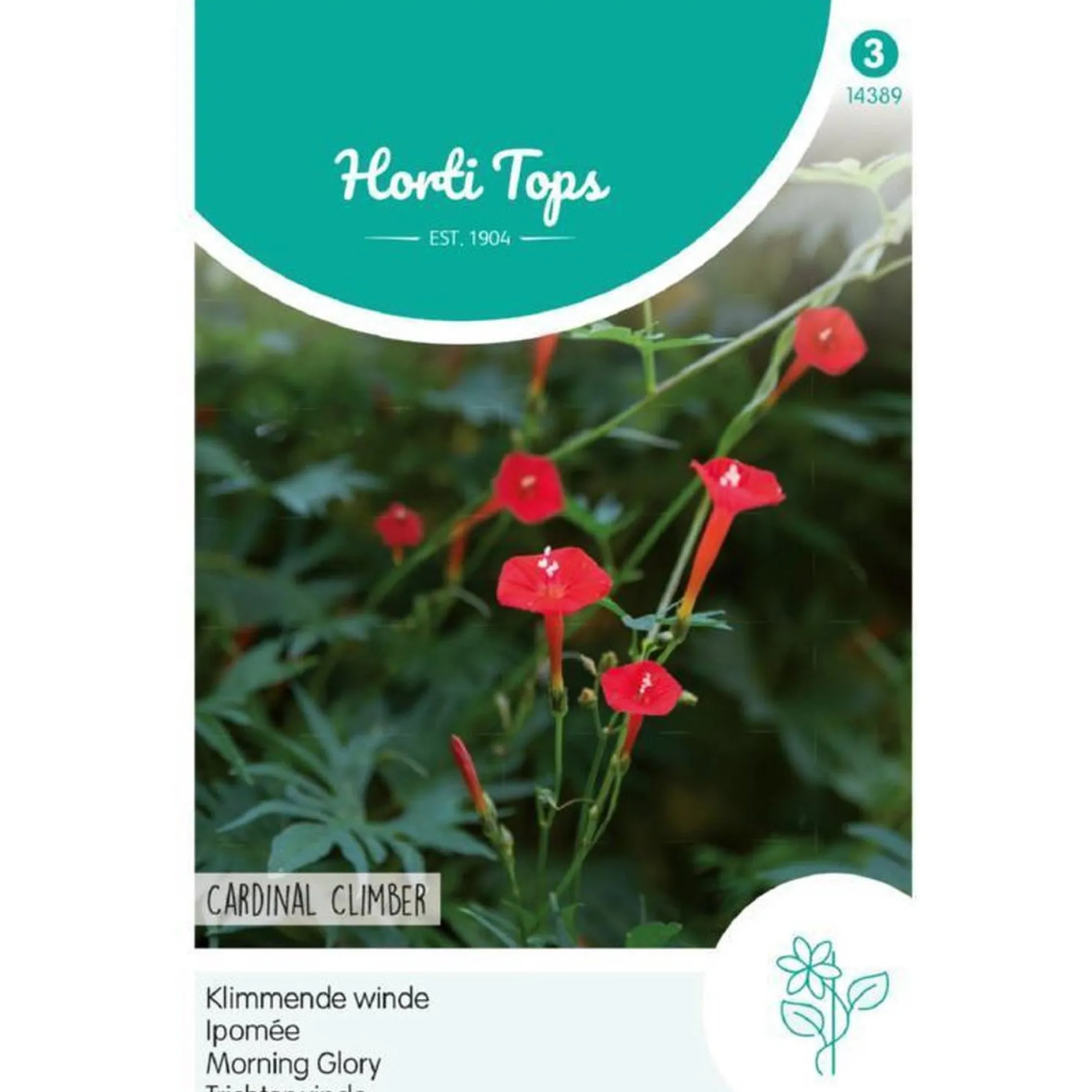 Klimmende winde Cardinal Climber