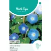 Klimmende Winde Clark Blue