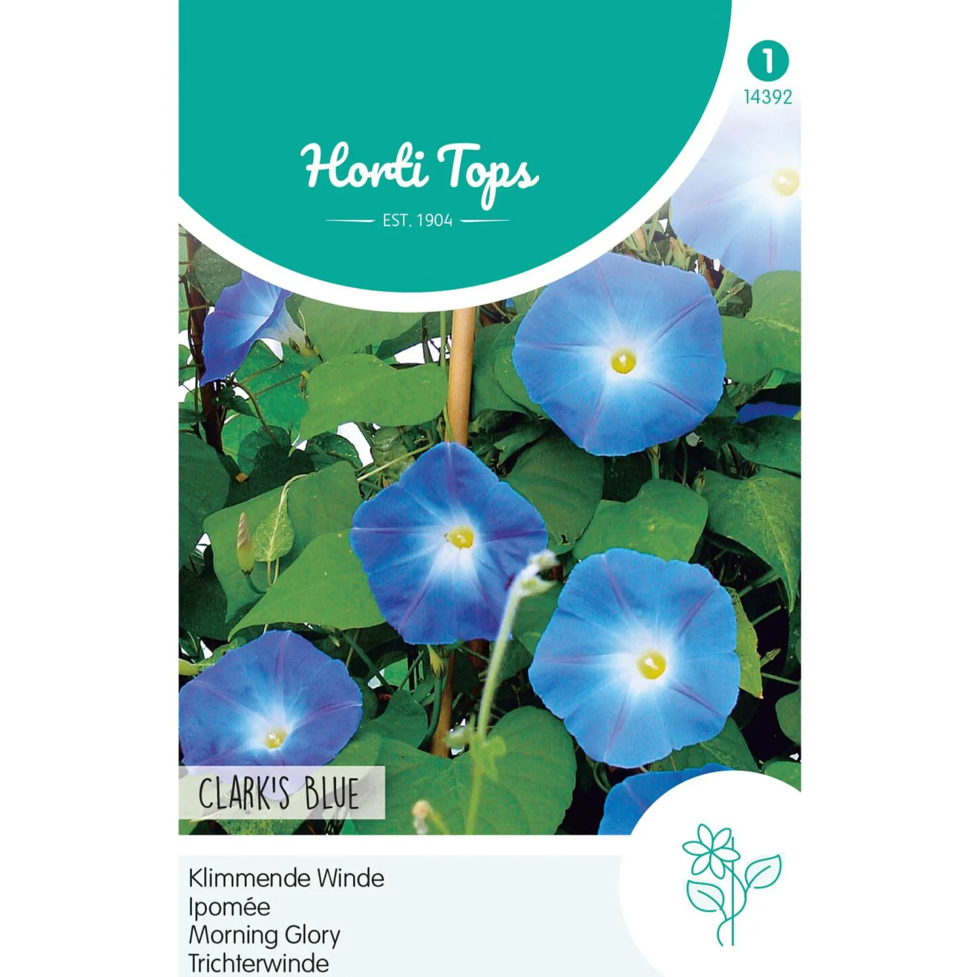 Klimmende Winde Clark Blue