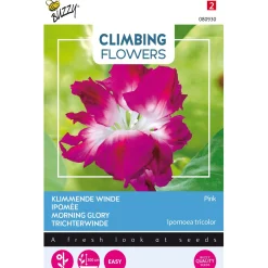Klimmende Winde dubbel rose