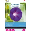 Klimmende Winde Knowlians black