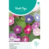 Klimmende winde Mix