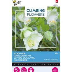 Klokwinde Alba wit