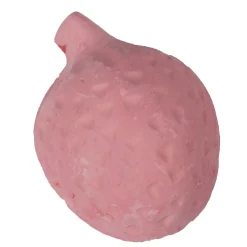 Knaagsteen Tutti Frutti Aardbei