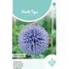 Kogeldistel Blue Globe