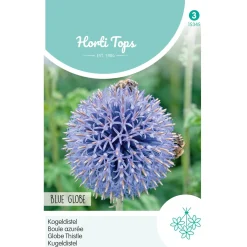 Kogeldistel Blue Globe