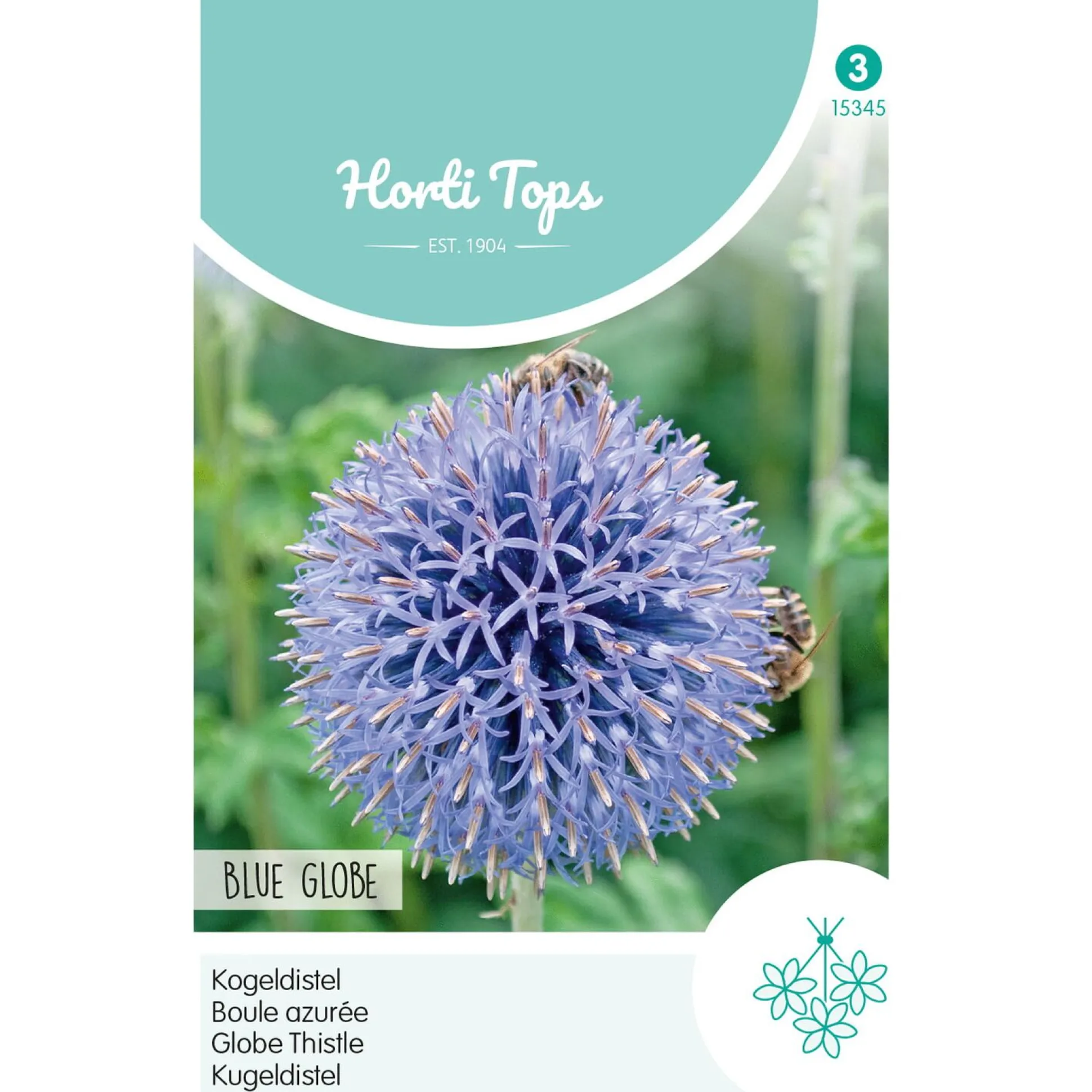 Kogeldistel Blue Globe