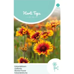 Kokardebloem