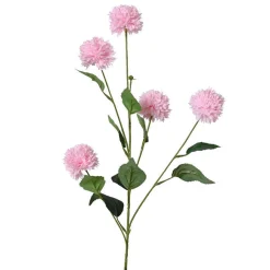 Korenbloem 82 cm roze